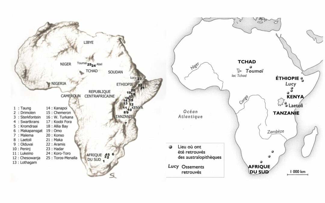 El origen africano de la humanidad
